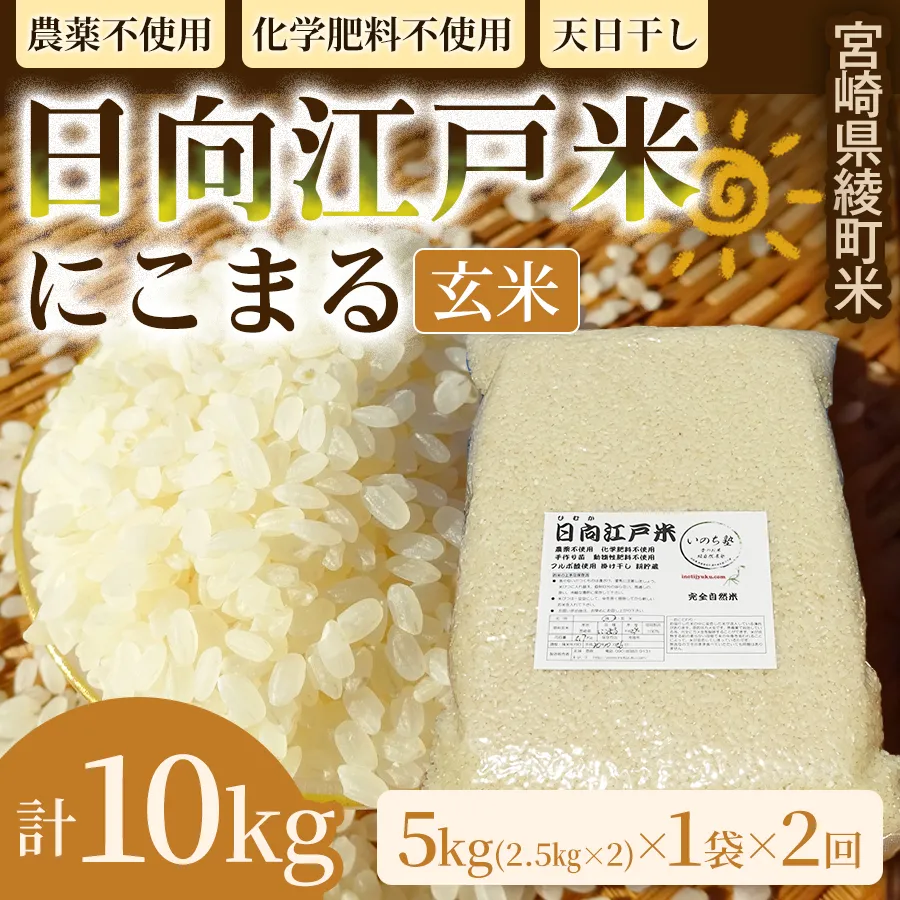 【2か月定期便】天日干しが引き出す お米の旨味 日向江戸米（にこまる）【玄米】合計10kg 国産米 ブランド米 農薬不使用 化学肥料不使用 無農薬 ごはん ご飯 おにぎり お弁当 冷めても美味しい もっちり食感 和食 主食 人気 おすすめ 宮崎県 綾町 送料無料_A0038-035