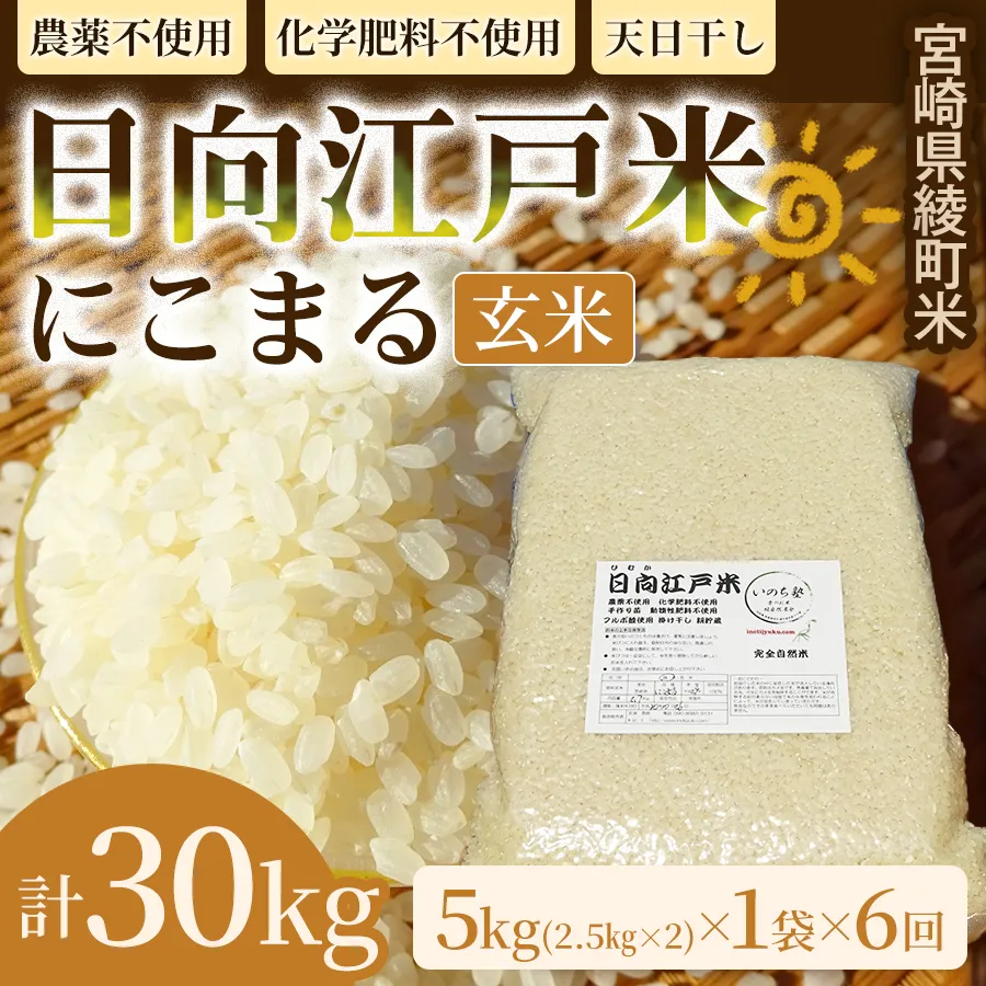 【6か月定期便】天日干しが引き出す お米の旨味 日向江戸米（にこまる）【玄米】合計30kg 国産米 ブランド米 農薬不使用 化学肥料不使用 無農薬 ごはん ご飯 おにぎり お弁当 冷めても美味しい もっちり食感 和食 主食 人気 おすすめ 宮崎県 綾町 送料無料_A0038-036