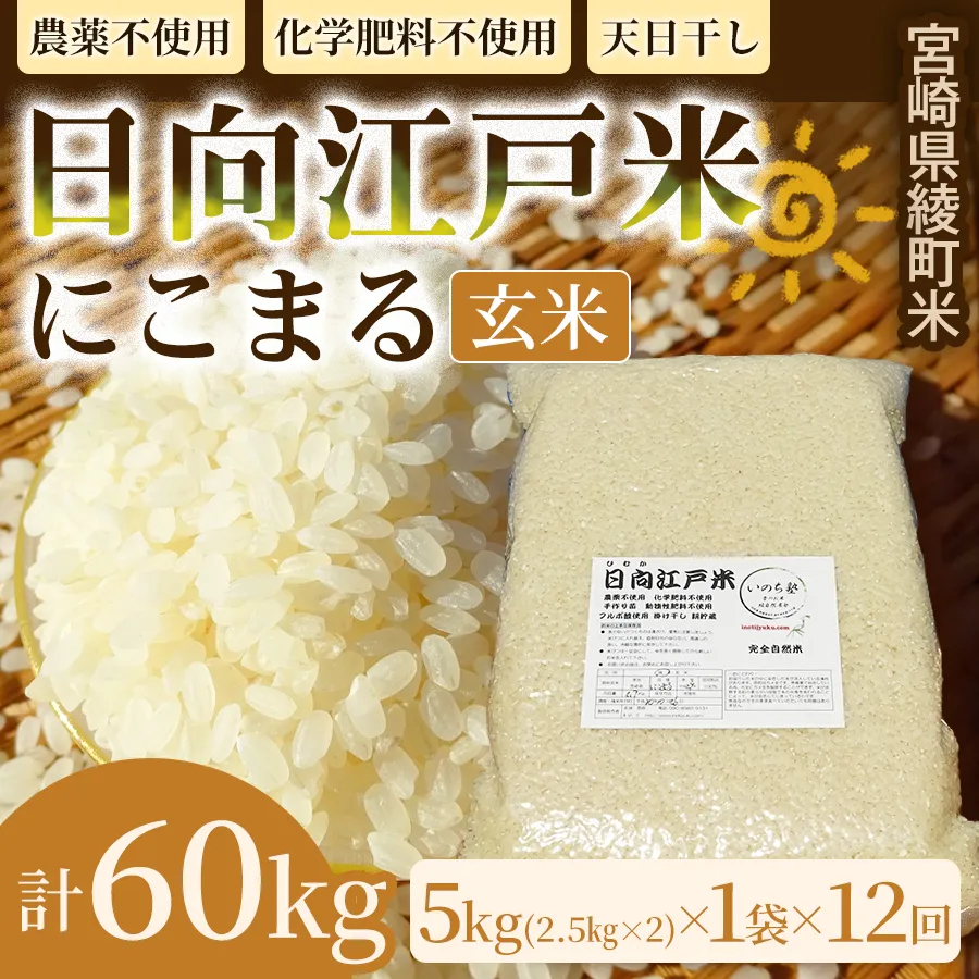 【12か月定期便】天日干しが引き出す お米の旨味 日向江戸米（にこまる）【玄米】合計60kg 国産米 ブランド米 農薬不使用 化学肥料不使用 無農薬 ごはん ご飯 おにぎり お弁当 冷めても美味しい もっちり食感 和食 主食 人気 おすすめ 宮崎県 綾町 送料無料_A0038-037