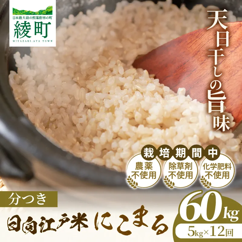 【12か月定期便】天日干しが引き出す お米の旨味 日向江戸米（にこまる）【分つき】合計60kg 国産米 ブランド米 農薬不使用 化学肥料不使用 無農薬 ごはん ご飯 おにぎり お弁当 冷めても美味しい 精米したて 和食 主食 人気 おすすめ 宮崎県 綾町 送料無料_A0038-046