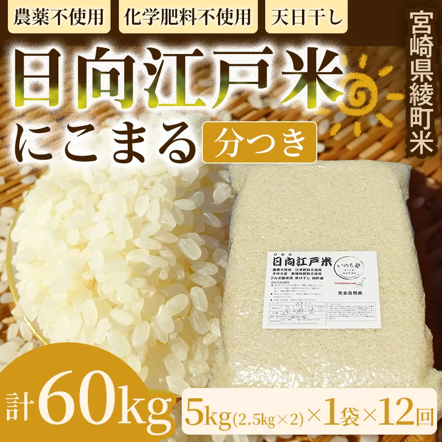 【12か月定期便】天日干しが引き出す お米の旨味 日向江戸米（にこまる）【分つき】合計60kg 国産米 ブランド米 農薬不使用 化学肥料不使用 無農薬 ごはん ご飯 おにぎり お弁当 冷めても美味しい 精米したて 和食 主食 人気 おすすめ 宮崎県 綾町 送料無料_A0038-046