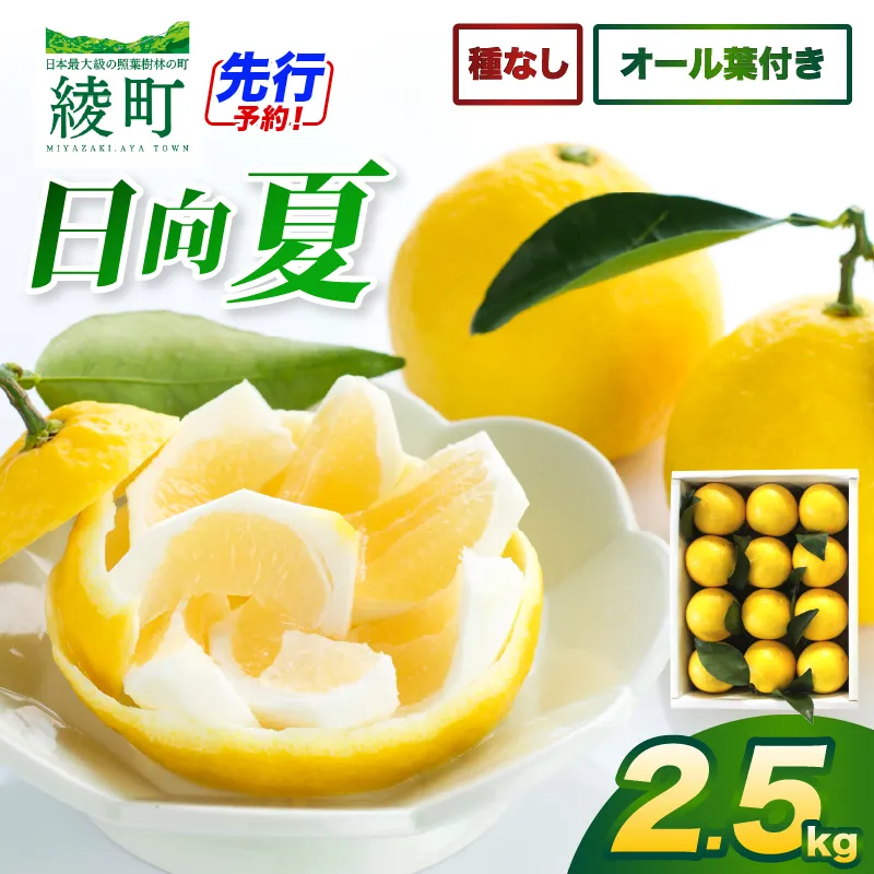 【先行受付】初春の旬「日向夏」種なし(オール葉付き)2.5kg 果物 フルーツ くだもの 柑橘 フルーツサンド おやつ スイーツ デザート ジャム おすすめ ギフト 贈り物 贈答 プレゼント おすそ分け お返し 宮崎県 綾町 送料無料【JA綾町】_A0114-271