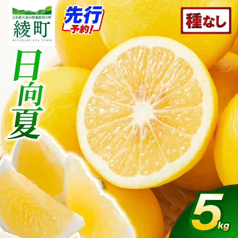 【先行受付】初春の旬「日向夏」種なし 5kg 果物 フルーツ くだもの 柑橘 フルーツサンド おやつ スイーツ デザート ジャム おすすめ ギフト 贈り物 贈答 プレゼント おすそ分け お返し 宮崎県 綾町 送料無料【JA綾町】_A0114-241