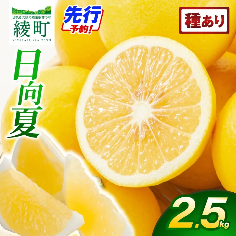 【先行受付】初春の旬「日向夏」種あり 2.5kg 果物 フルーツ くだもの 柑橘 フルーツサンド おやつ スイーツ デザート ジャム おすすめ ギフト 贈り物 贈答 プレゼント おすそ分け お返し 宮崎県 綾町 送料無料【JA綾町】_A0114-247