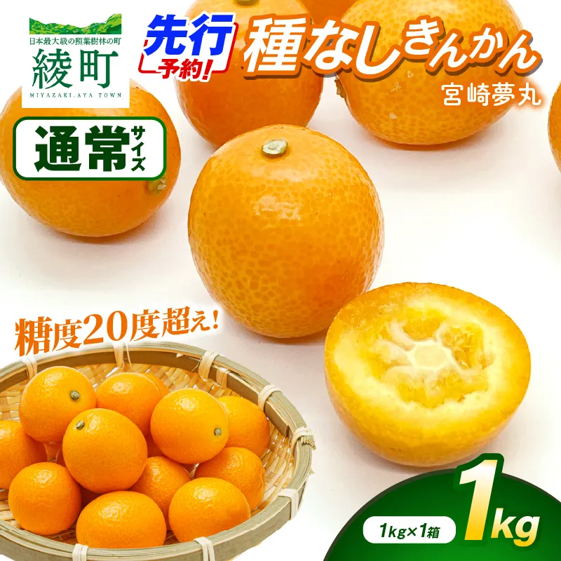 【先行予約】種なし きんかん「宮崎夢丸」 1kg 数量限定 種無し 果物 フルーツ くだもの 柑橘 金柑 プレミア おすすめ ギフト 贈り物 贈答 おやつ スイーツ デザート 糖度が高い 常温 産地直送 宮崎県 綾町 送料無料【JA綾町】_A0114-252