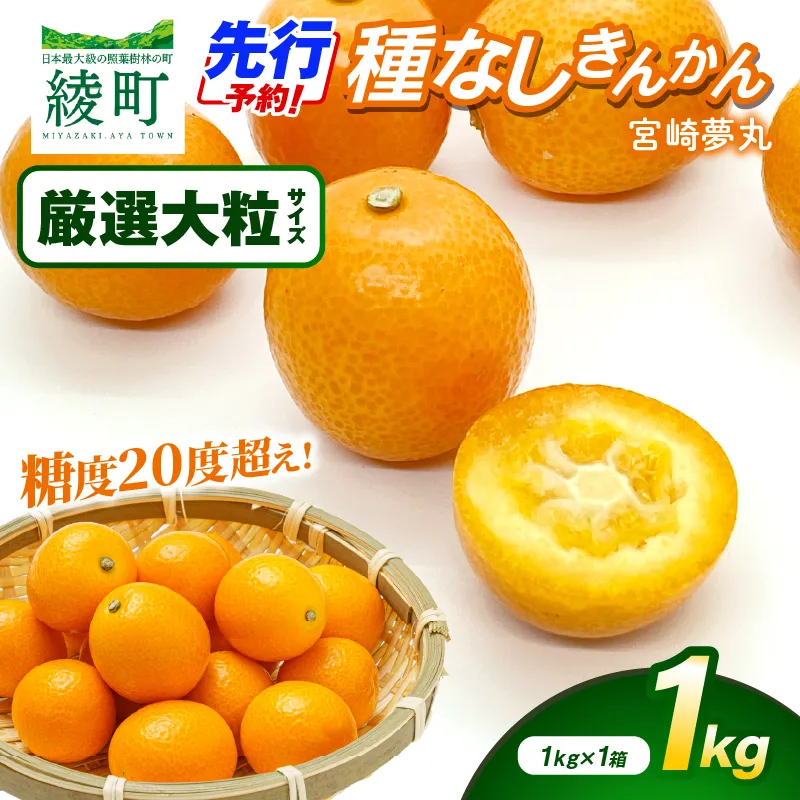 【先行予約】種なし きんかん「宮崎夢丸」（厳選大粒）1kg 数量限定 大粒 種無し 果物 フルーツ くだもの 柑橘 金柑 プレミア おすすめ ギフト 贈り物 贈答 おやつ スイーツ デザート 糖度が高い 常温 産地直送 宮崎県 綾町 送料無料【JA綾町】_A0114-254
