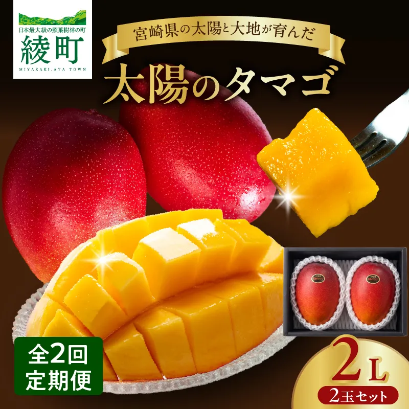 【全2回お届け】太陽のタマゴ 2L×2玉［T20］定期便 フルーツ 果物 くだもの 2027年 完熟マンゴー 国産 宮崎マンゴー マンゴージュース 南国フルーツ おすすめ デザート ギフト 贈り物 プレゼント 冷蔵 綾町 送料無料_A0113-010