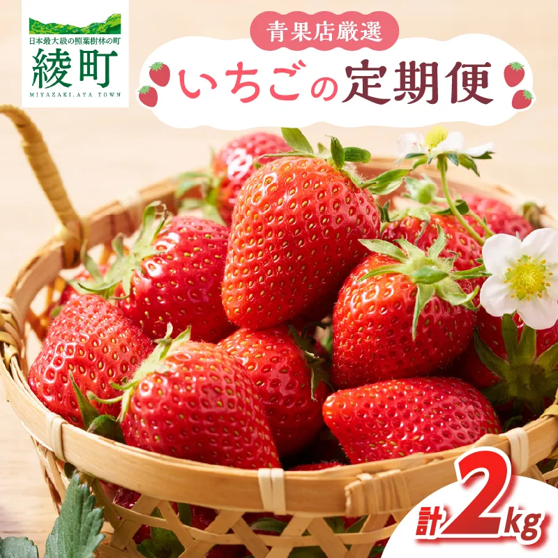 先行予約【全2回お届け】 いちご 定期便 合計2kg［I21］果物 フルーツ くだもの 2027年 青果 苺 イチゴ いちご大福 国産 おやつ スイーツ デザート おすすめ ジャム ジュース 甘い ジューシー ギフト おすそ分け 宮崎県 綾町 送料無料_A0113-014
