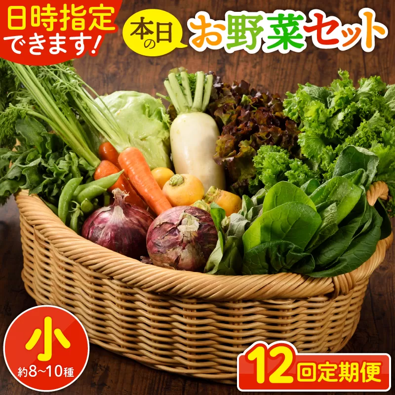 日時指定可能！本日のお野菜セット（サイズ小）【全12回定期便】