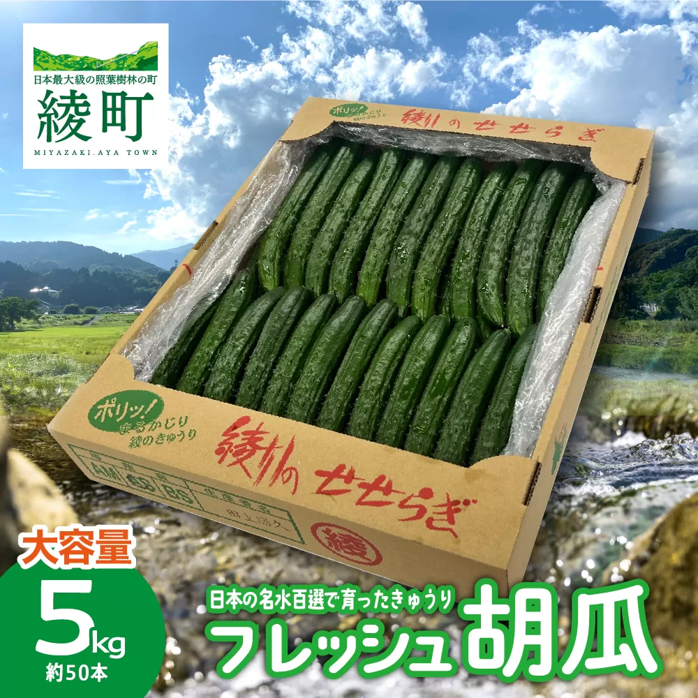 綾川の恵み「フレッシュ胡瓜(きゅうり)」5kg