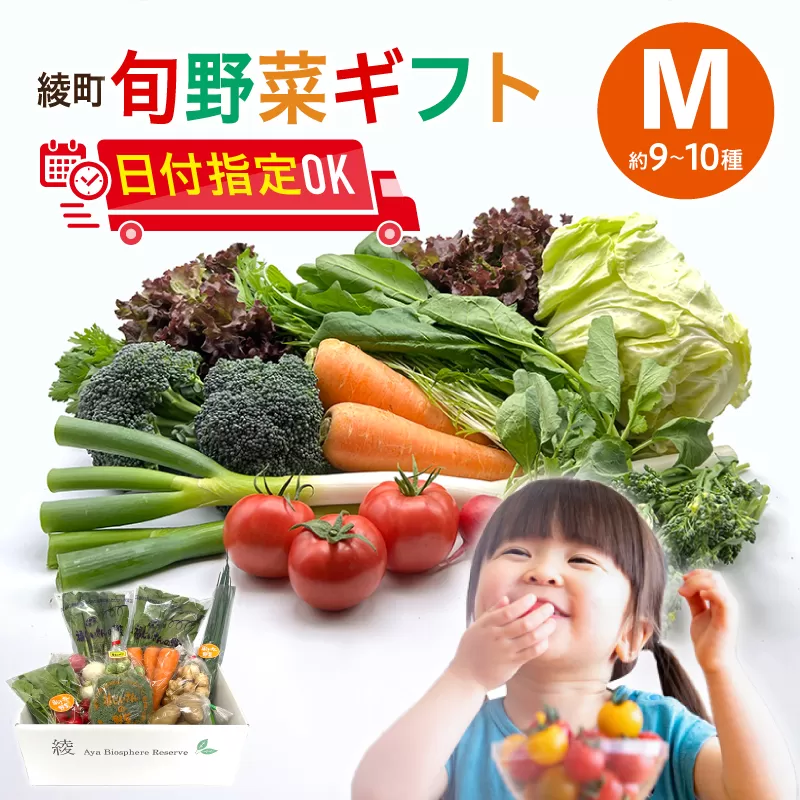 綾町旬野菜ギフト（Mサイズ）_A0004-104