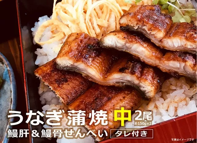 うなぎ蒲焼（中サイズ）２尾 〜鰻肝＆鰻骨せんべい付き〜