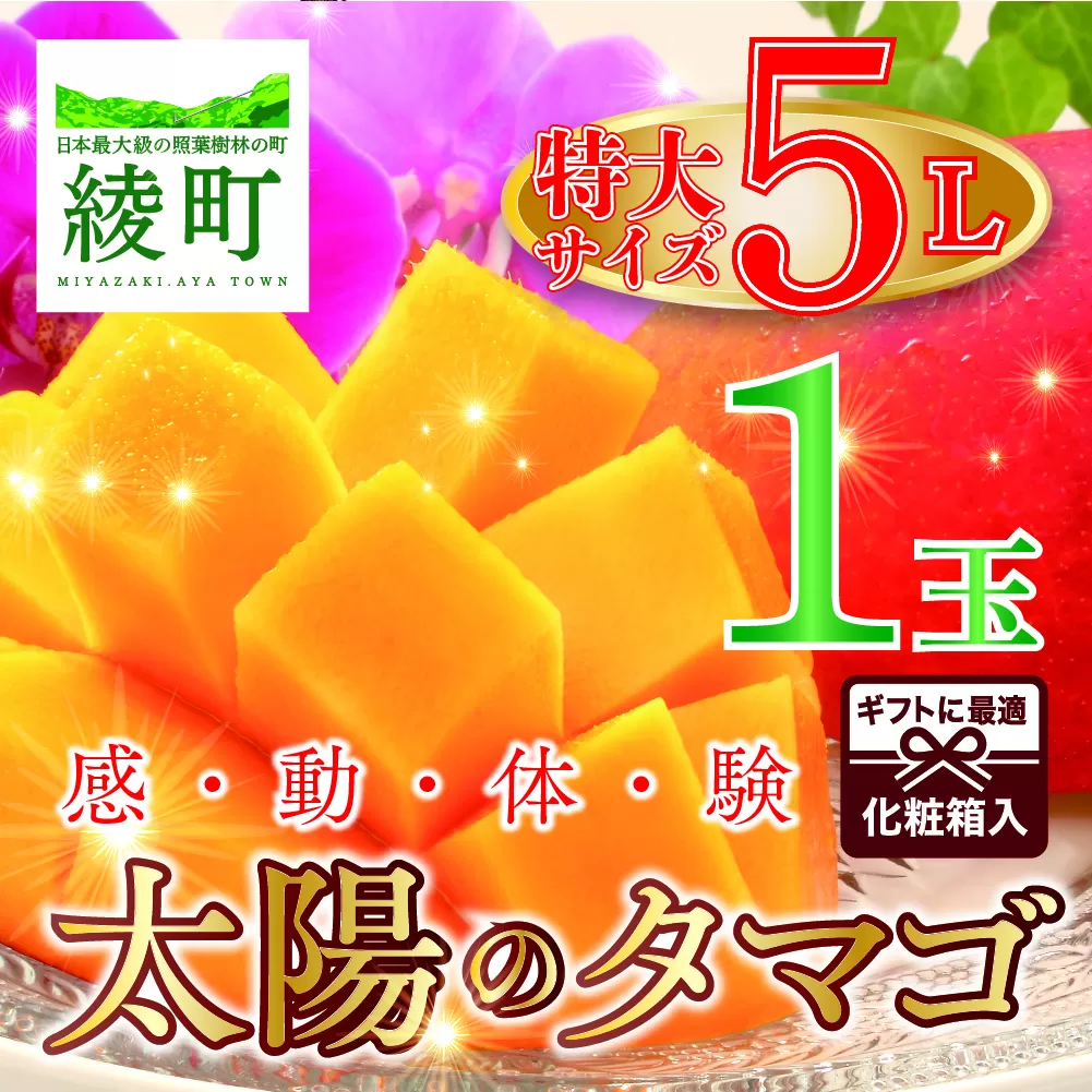 完熟マンゴー「太陽のタマゴ」５L×１玉【規格 基準 最大 濃厚 宮崎 高級 果物 フルーツ 贈答 ギフト 先行受付 送料無料】