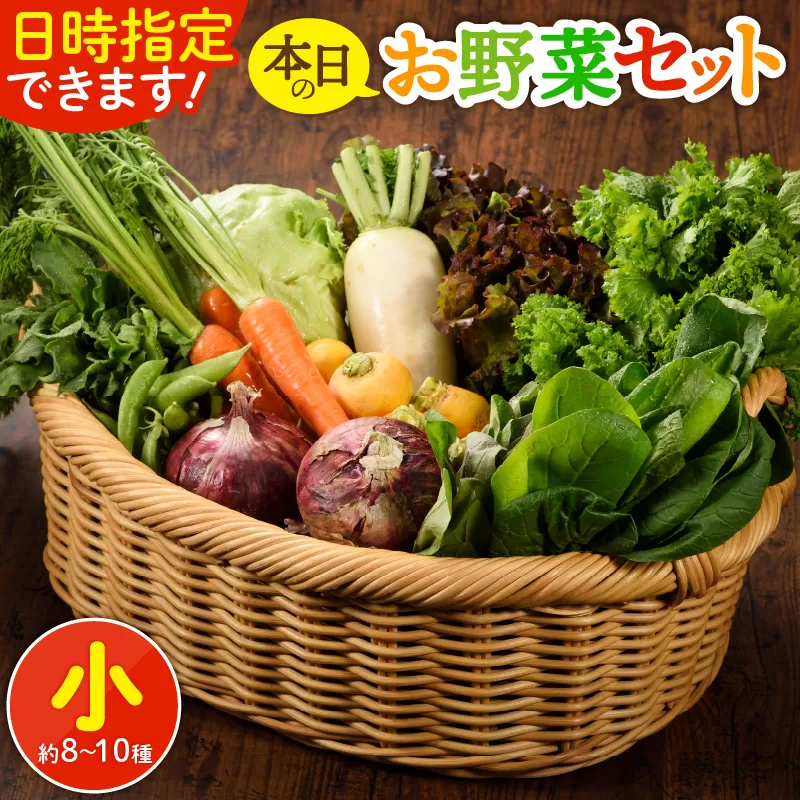 日時指定可能！本日のお野菜セット（サイズ小）