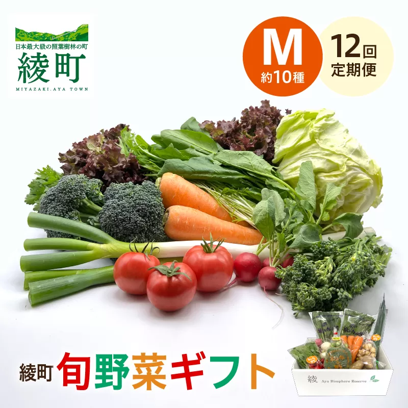 綾町旬野菜ギフト（Mサイズ）【全12回定期便】