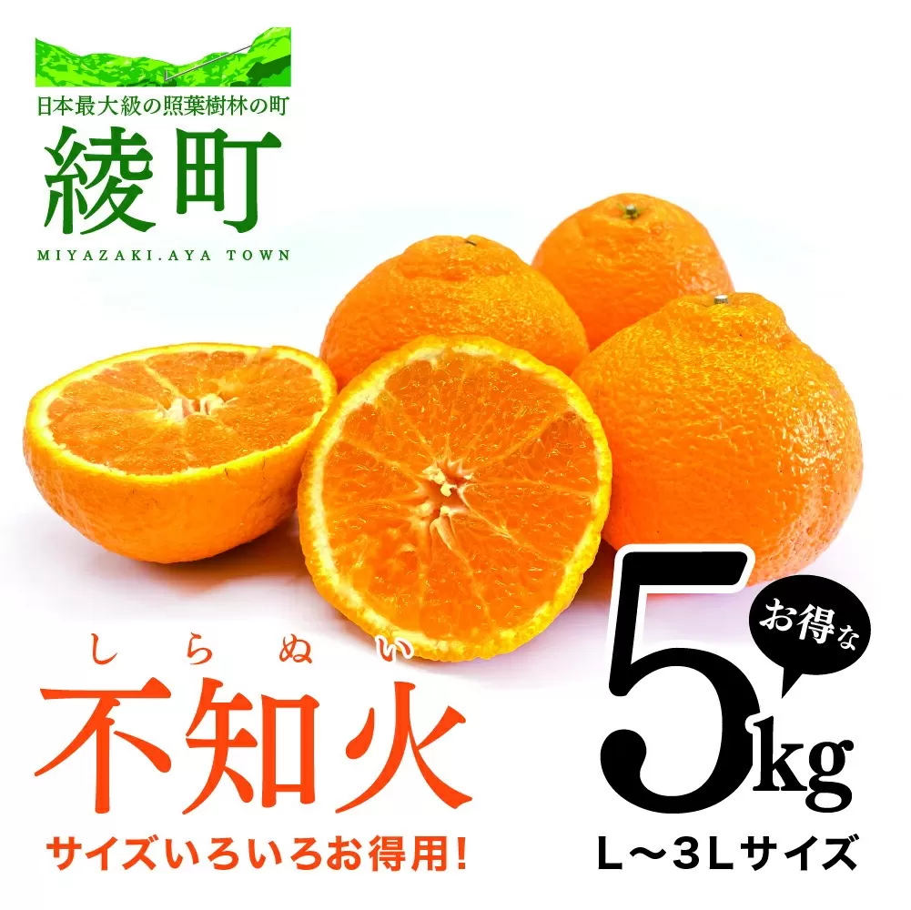 [先行予約] 不知火 サイズいろいろ お得な5kg