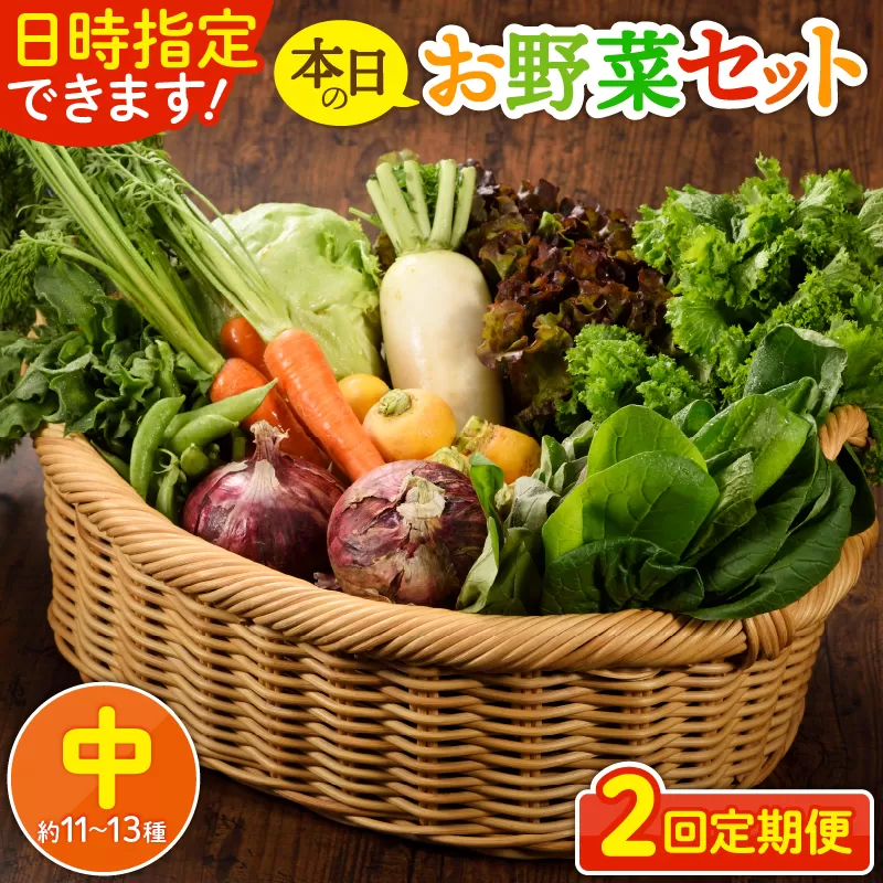 日時指定可能！本日のお野菜セット（サイズ中）【全２回定期便】
