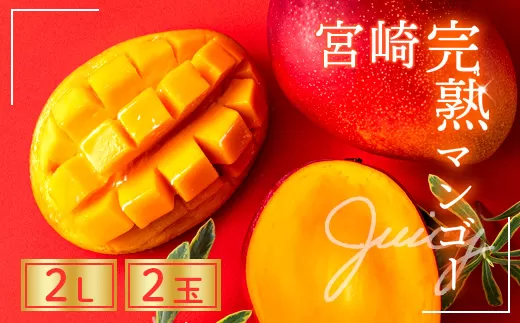 【全3回お届け】至極 完熟マンゴー 2L・2玉［Z20］