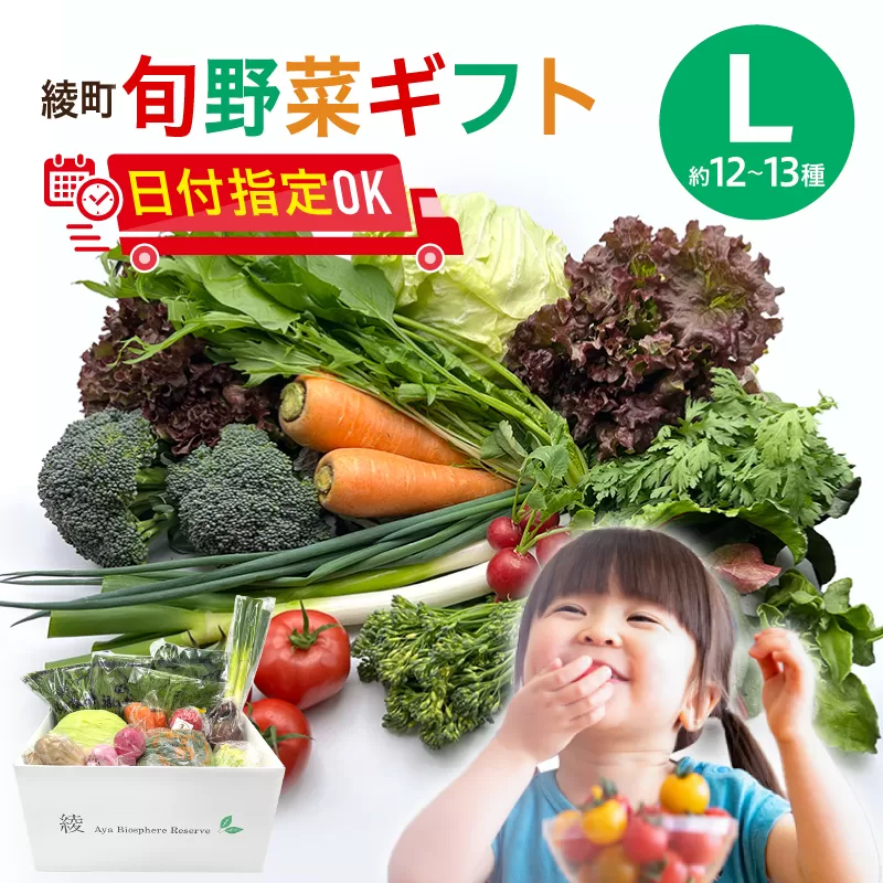 綾町旬野菜ギフト（Lサイズ）_A0004-108