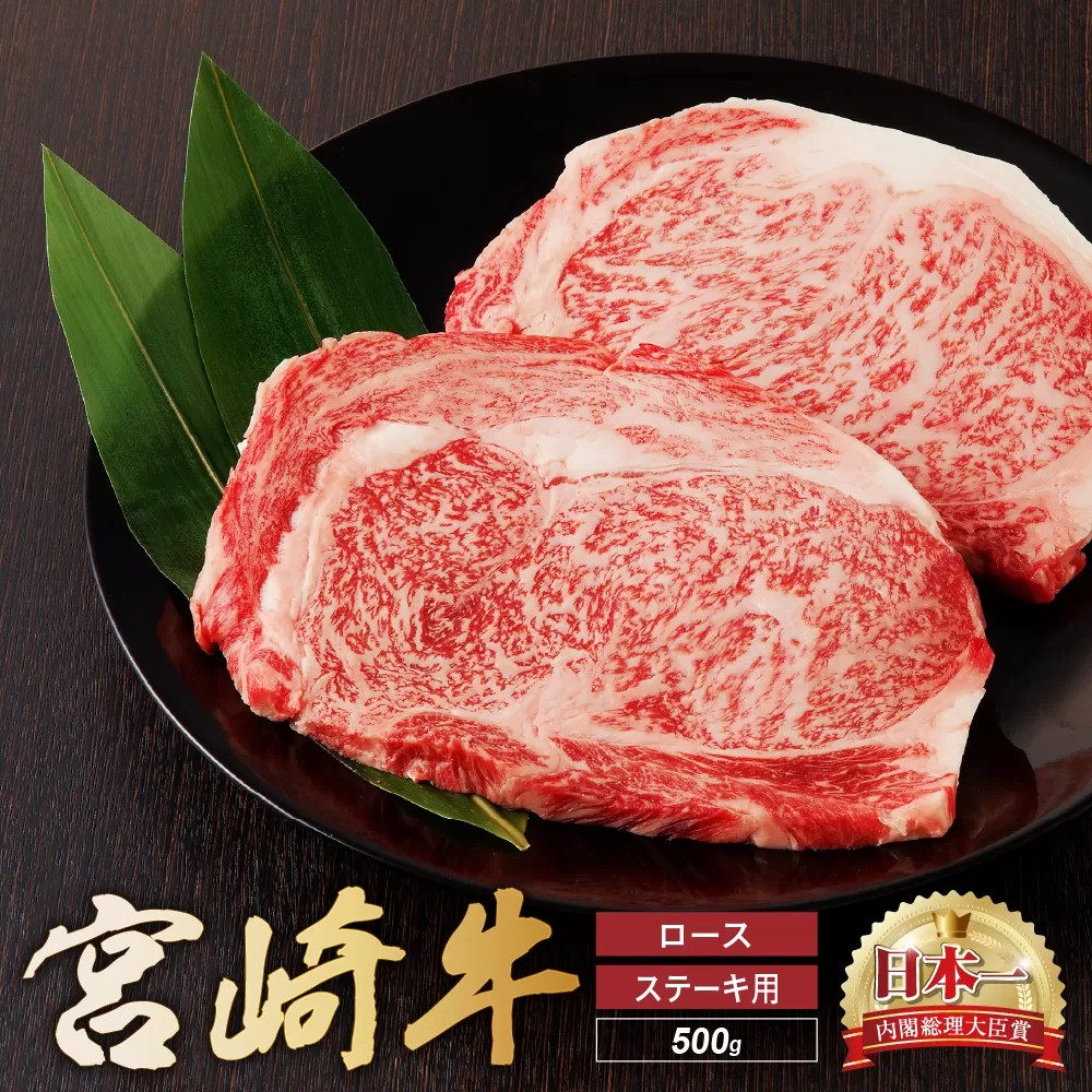 宮崎牛 ロース ステーキ 2枚 500ｇ 牛肉 肉 国産 小分け ブランド牛 ギフト 贈り物 九州 宮崎 霜降り
