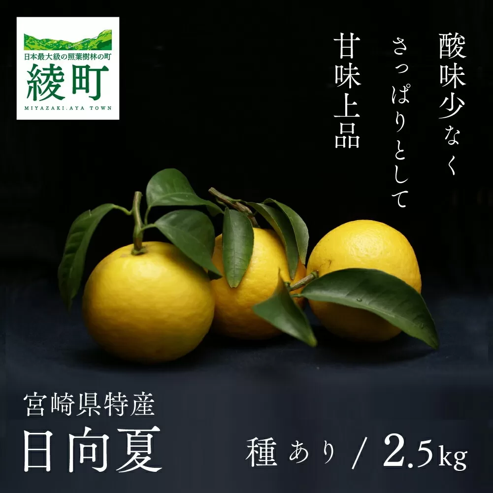 初春の旬 日向夏 種あり 2.5kg 先行受付