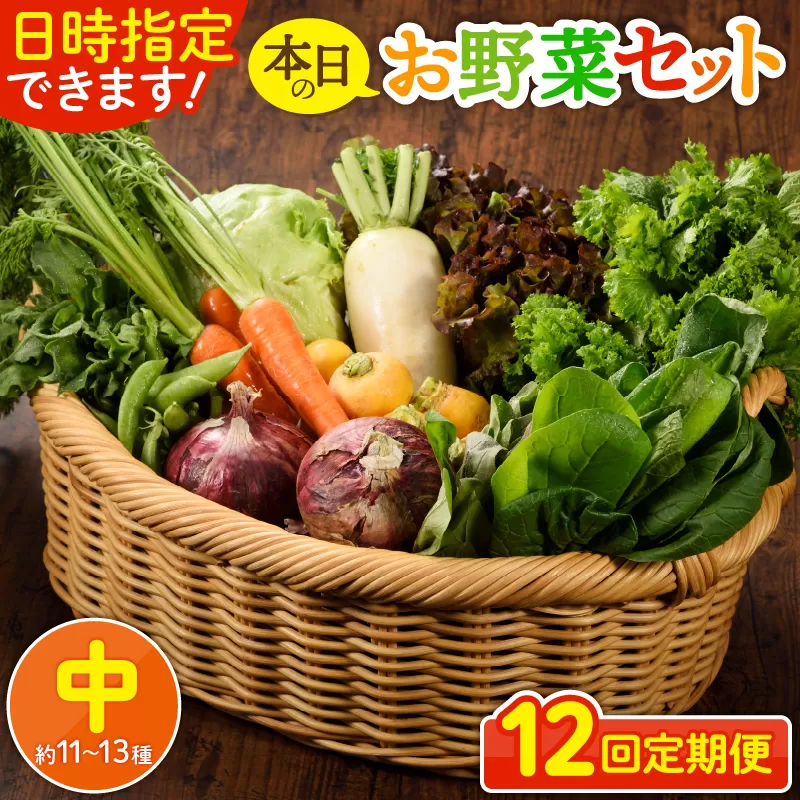 日時指定可能！本日のお野菜セット（サイズ中）【全12回定期便】