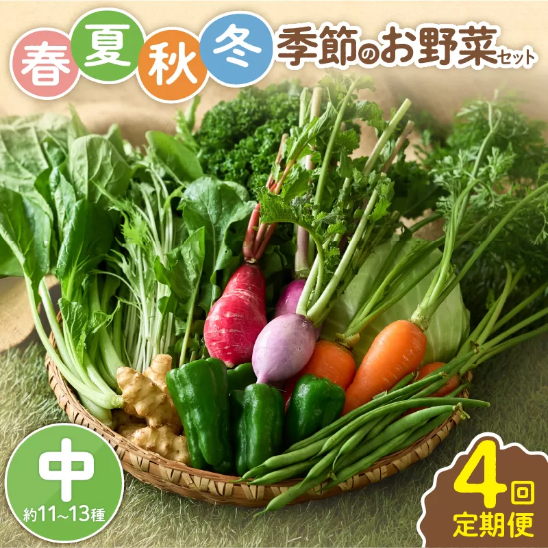 【全４回定期便】春夏秋冬 季節のお野菜セット（サイズ中）