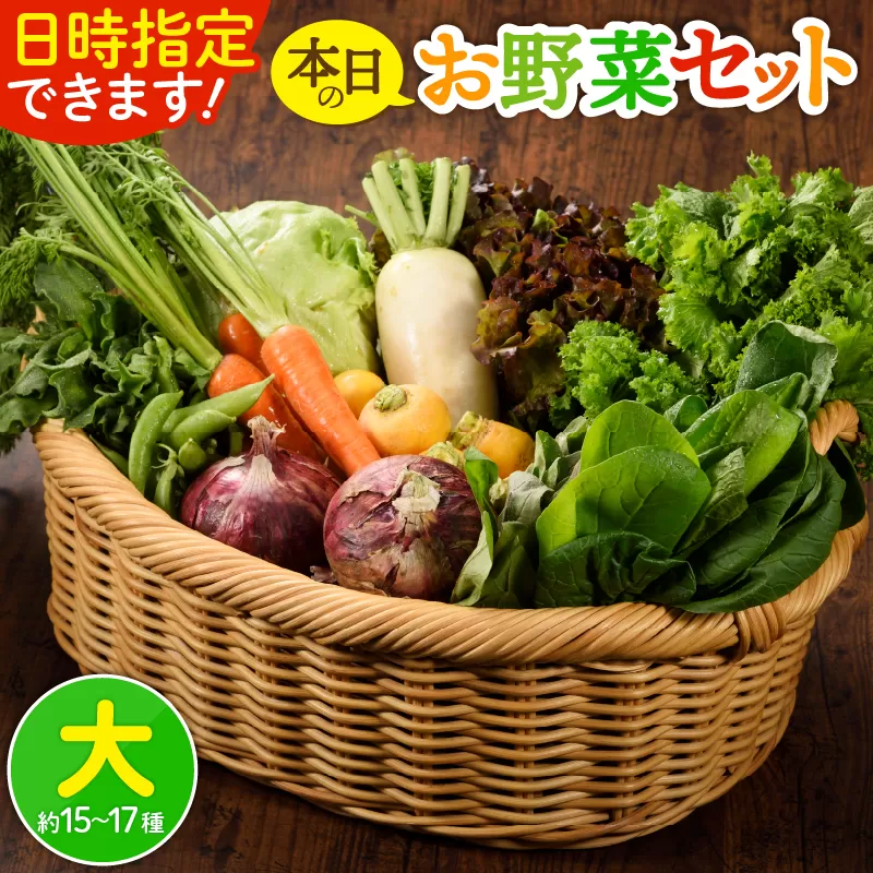 日時指定可能！本日のお野菜セット（サイズ大）