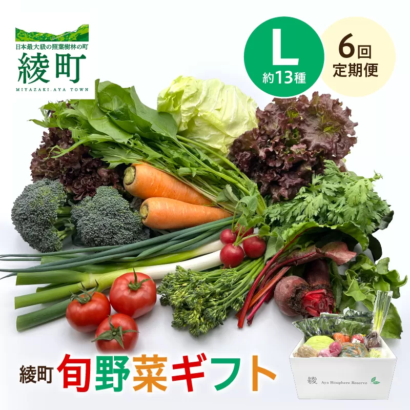 綾町旬野菜ギフト（Lサイズ）【全６回定期便】