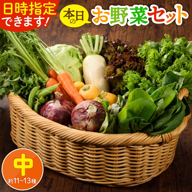 日時指定可能！本日のお野菜セット（サイズ中）