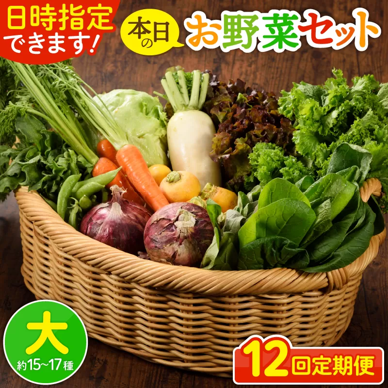 日時指定可能！本日のお野菜セット（サイズ大）【全12回定期便】