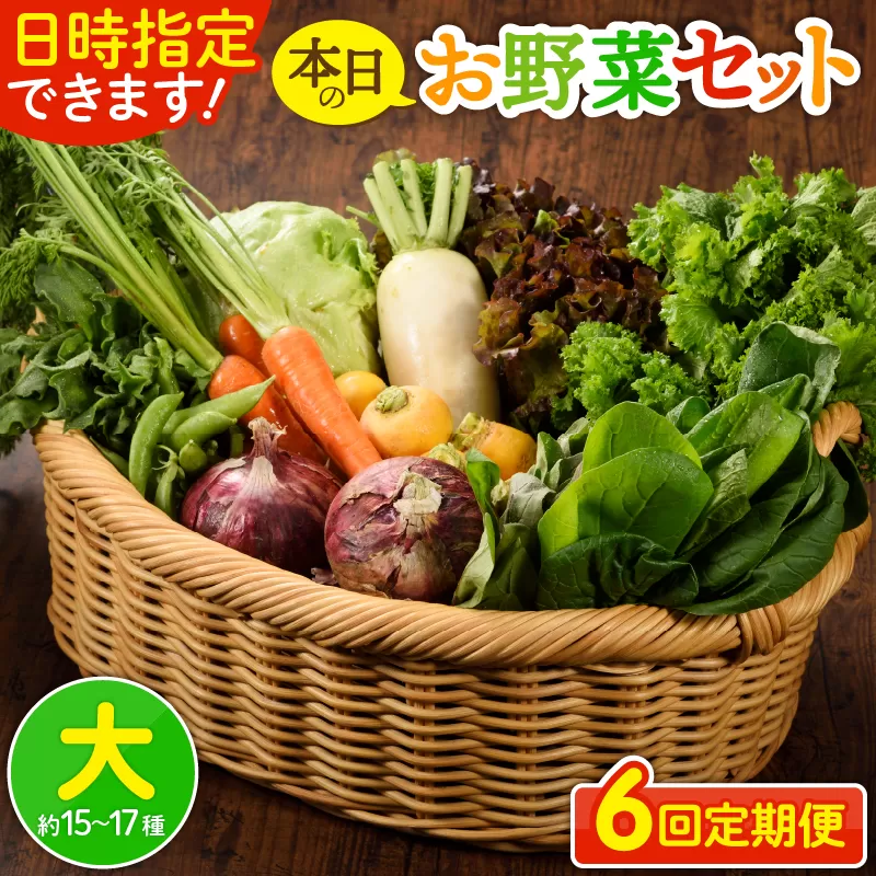 日時指定可能！本日のお野菜セット（サイズ大）【全６回定期便】