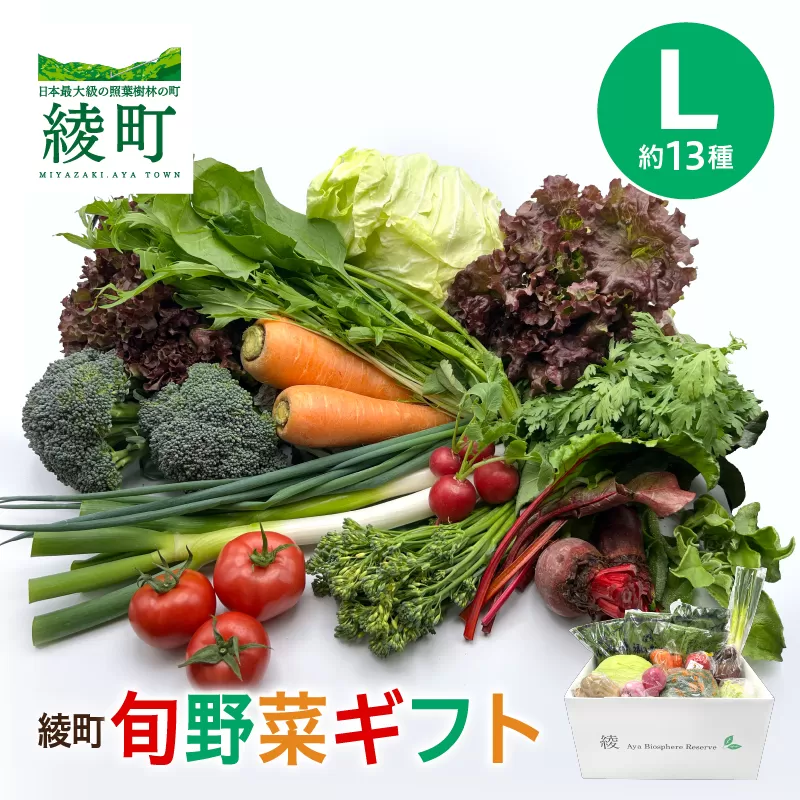 綾町旬野菜ギフト（Lサイズ）