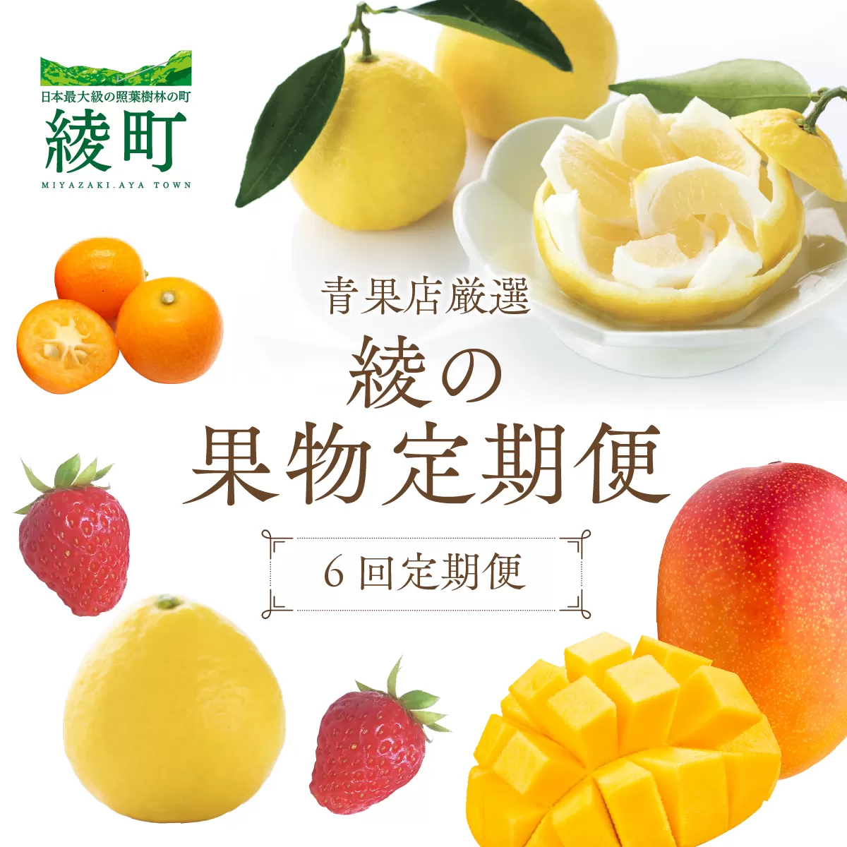 【全6回お届け】宮崎県綾町産 果物定期便 [X22]