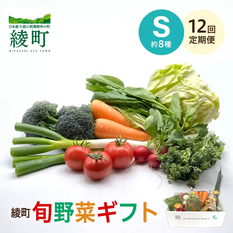 綾町旬野菜ギフト（Sサイズ）【全12回定期便】