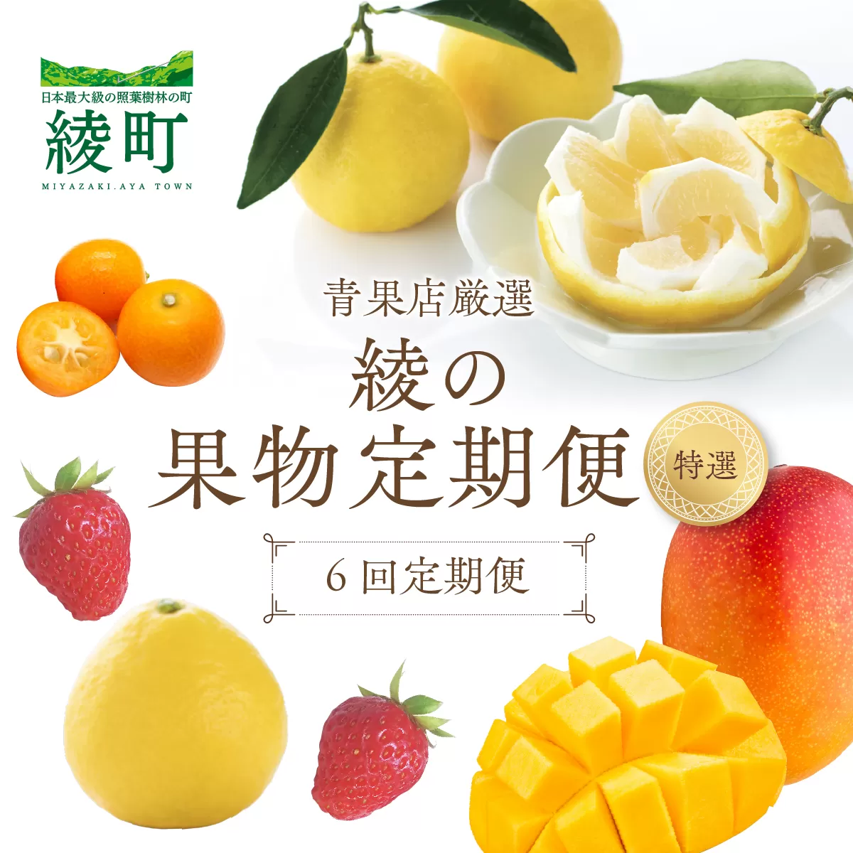 【全6回お届け】特選！！宮崎県綾町産 果物定期便 [Y22]