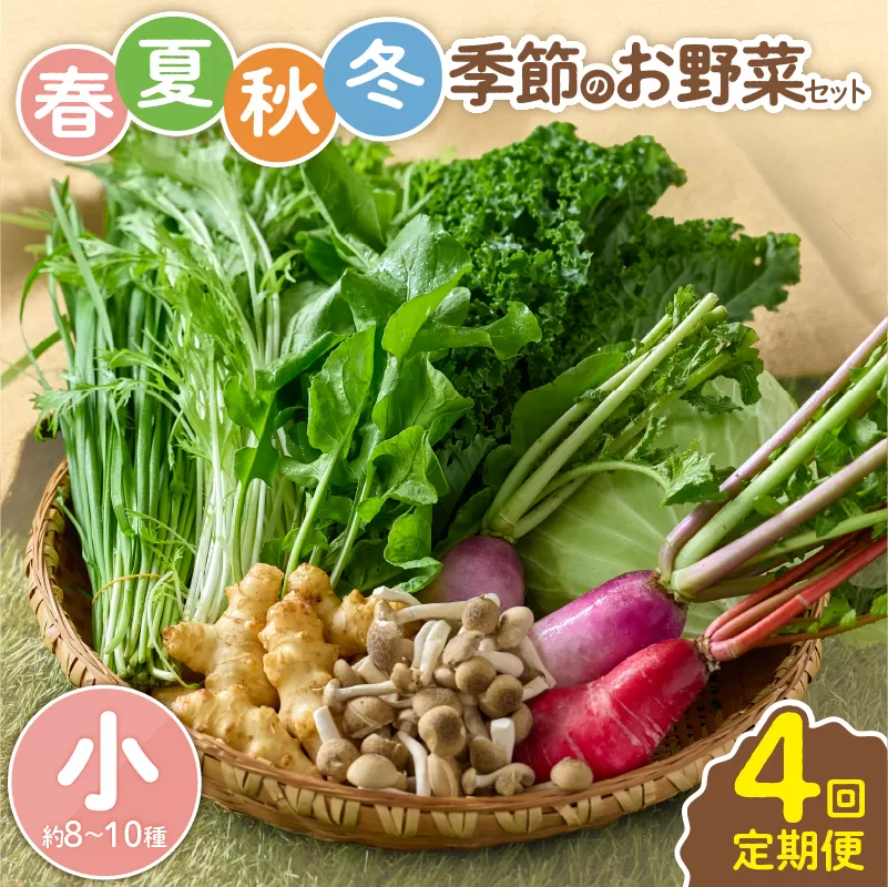 【全４回定期便】春夏秋冬 季節のお野菜セット（サイズ小）