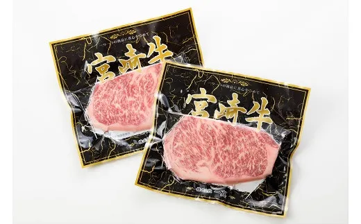 宮崎牛サーロインステーキ 400g(200g×2枚)_A0058-005