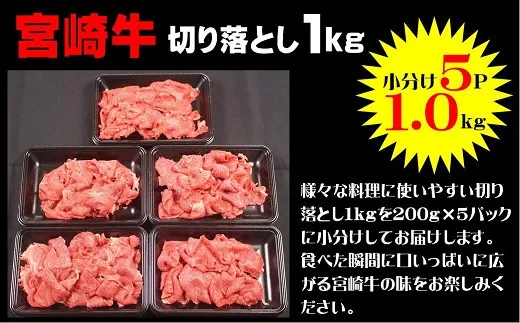 宮崎牛切り落とし　1Kg（200g×5p）_A0058-002