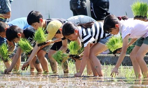 4　綾町の次代を担う青少年育成事業