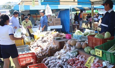 2　綾町が取り組む自然生態系農業に関する事業
