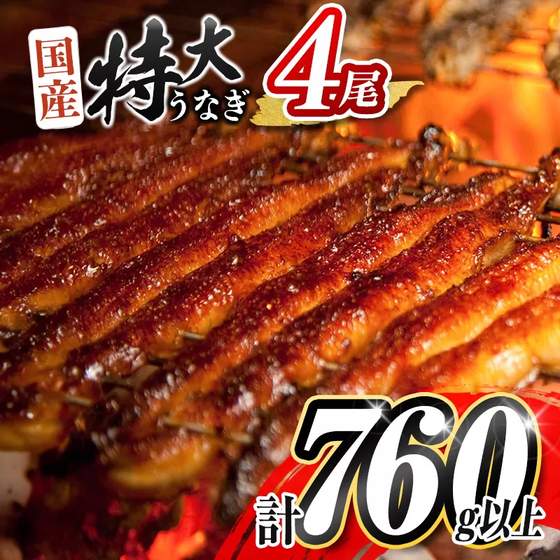 ［2025年10月お届け］特大 うなぎ 鰻楽 国産 蒲焼 4尾 無頭 計760g以上 おすすめ 贈答品 ギフト 贈り物【C388-760-2510】