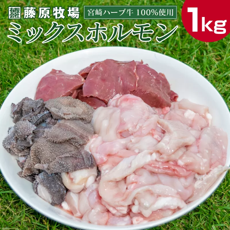 小分けで便利＜宮崎ハーブ牛＞ミックスホルモン 計1kg（200g×5パック）【C201】