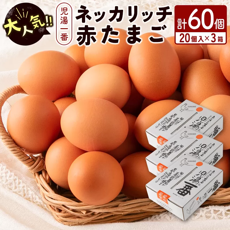 ＜児湯養鶏自慢の卵 ＞ネッカリッチ赤たまご「児湯一番」計60個（20個入×3箱）【B23】