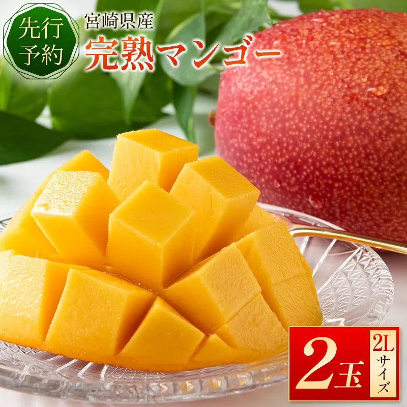 ＜先行予約＞宮崎県産 完熟マンゴー2Lサイズ2玉 国産 数量限定【B510-25】