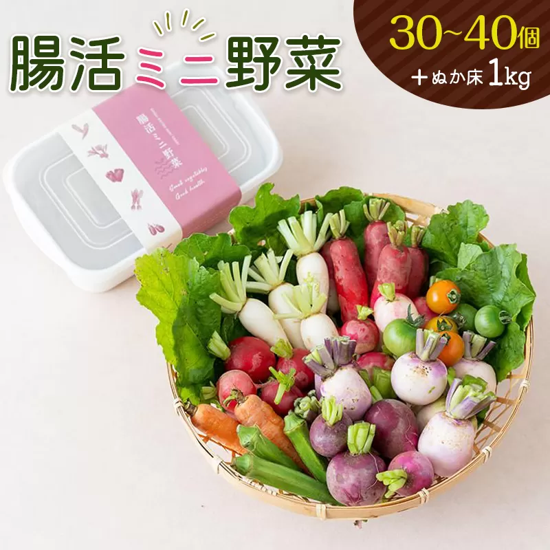 ［産地直送］腸活ミニ野菜＋ぬか床1kg【C322】