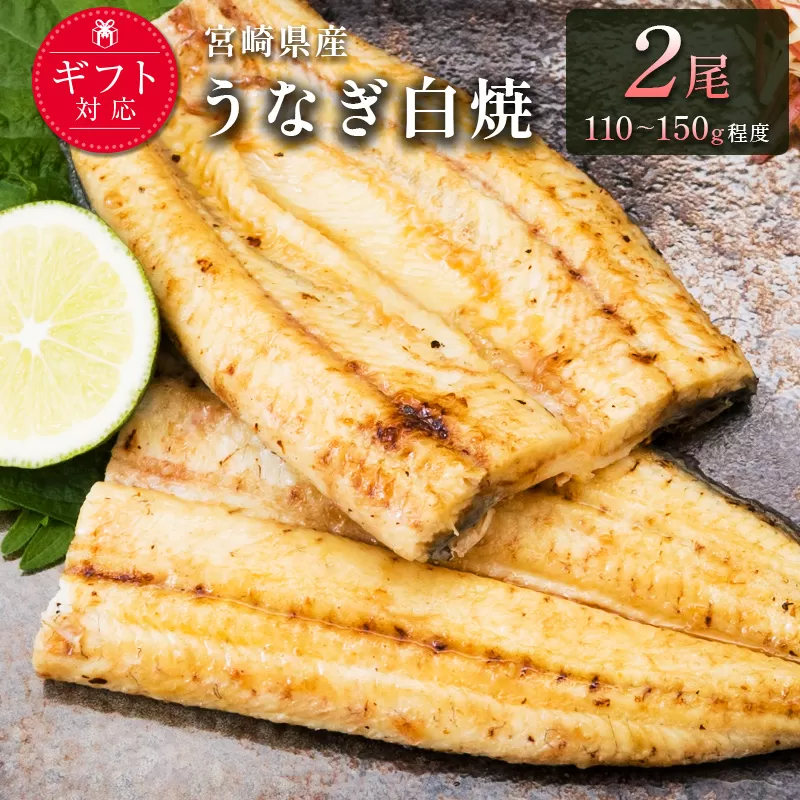 ［玄人の一品］うなぎ白焼き 2尾（110〜150g程度/1尾）宮崎県産鰻 化粧箱入り 蒲焼タレ付（50ml×1本）【A2】