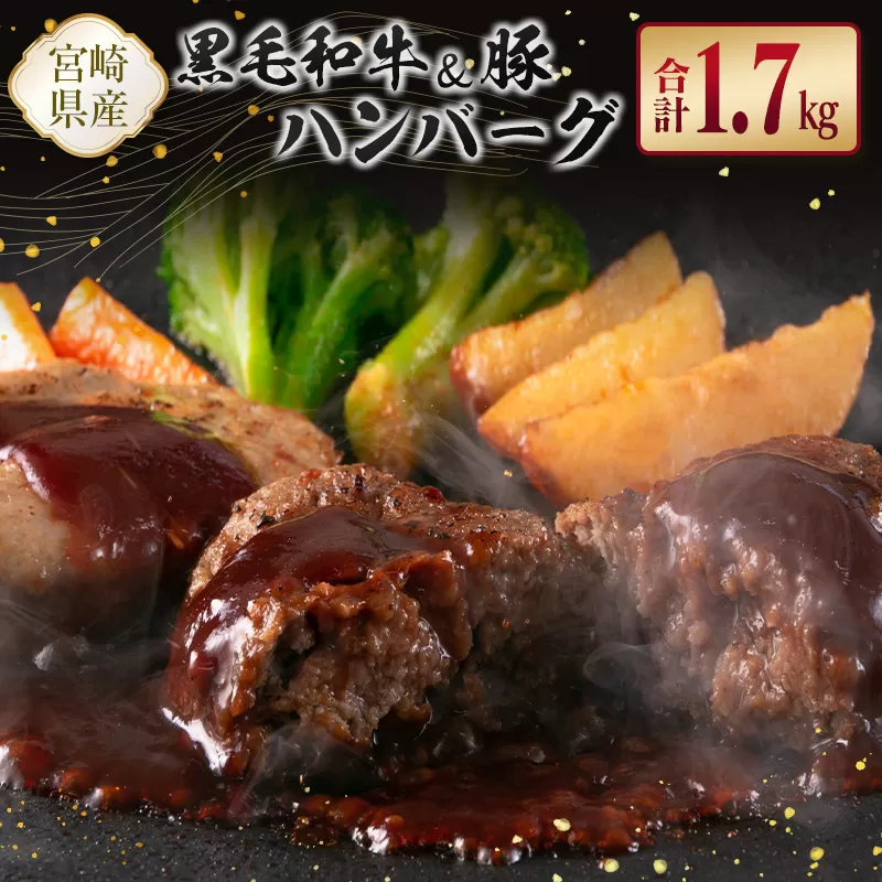宮崎県産黒毛和牛100％＆県産豚100％ハンバーグセット 合計1.7kg【B611】