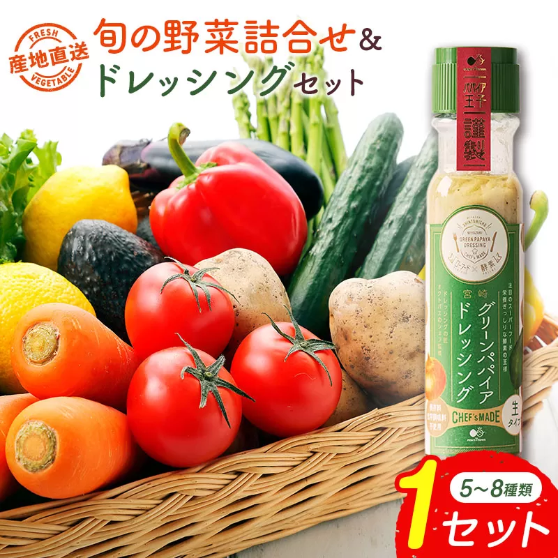 産地直送！旬の野菜（5〜8種類）＆ドレッシング セット お試し おまかせ 詰合せ 宮崎県新富町産【B643】