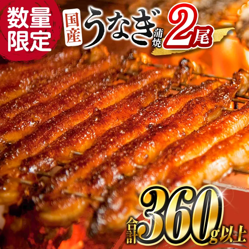 ［2025年10月お届け］うなぎ 鰻楽 国産 蒲焼 2尾 人気 無頭 計360g以上 贈答品 ギフト【B555-2510】